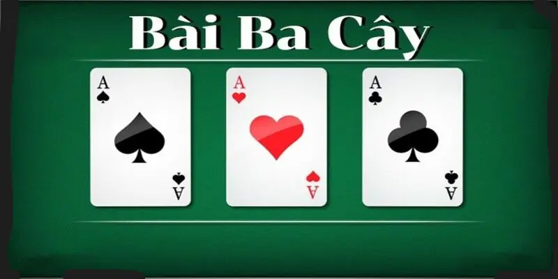 Tìm hiểu về bài 3 cây