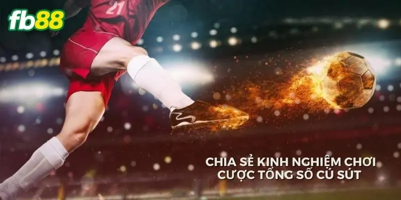 Chia sẻ kinh nghiệm chơi cược tổng số cú sút trúng đích